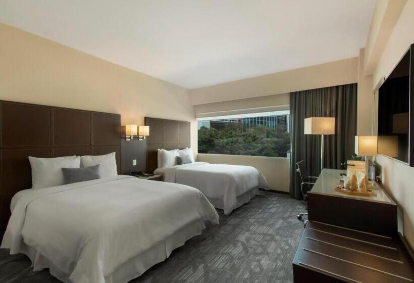 スタンダードルーム, Novit