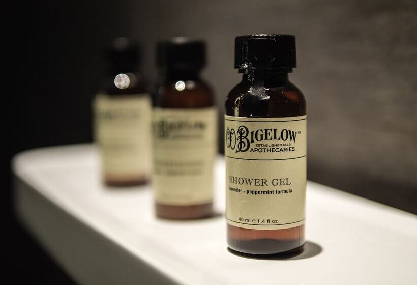 Classic Kamer, Pullman Brussels Centre Midi