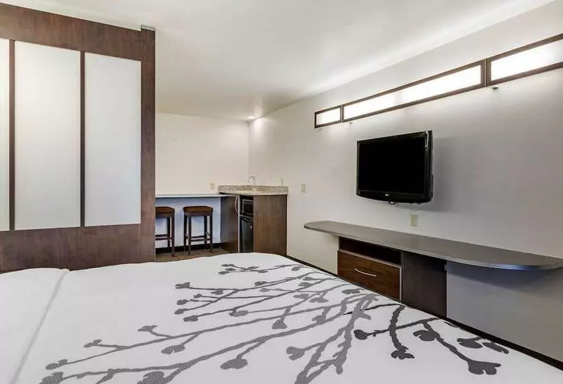 スイート, Sleep Inn & Suites