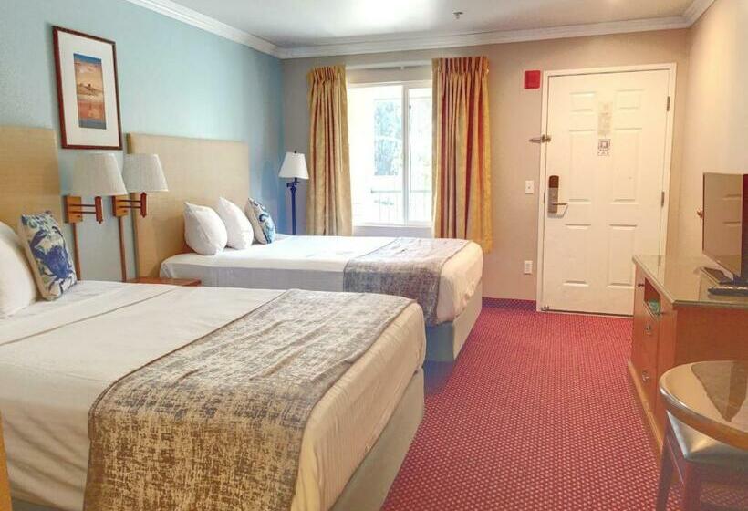 غرفه قياسيه سريرين مزدوجين, Dune Surfer Inn