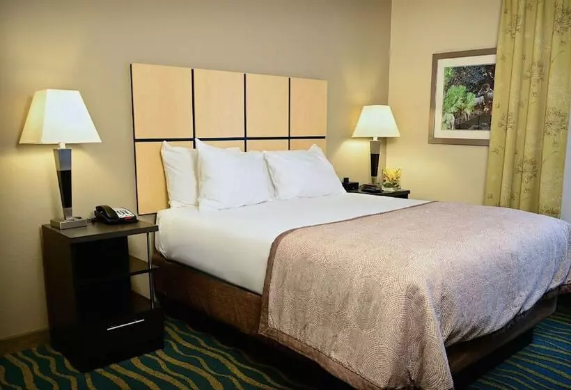 スタンダードスタジオ, Candlewood Suites Denver Northeast   Brighton, An Ihg