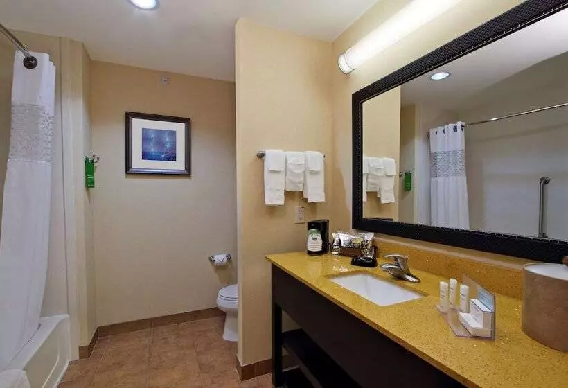 ダブルベッドのスタンダードスタジオ, Hampton Inn Beeville