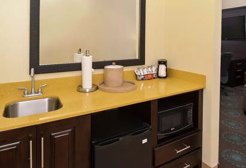 ダブルベッドのスタンダードスタジオ, Hampton Inn Beeville