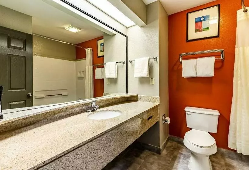 اتاق استاندارد با تخت بزرگ, Americas Best Value Inn   Temple
