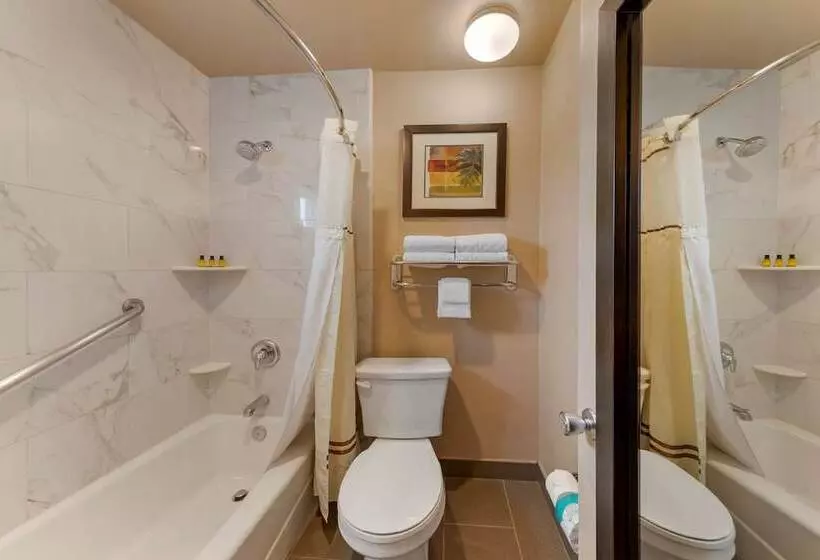 ２ダブルベッドのスタンダードルーム, Best Western Plus Pavilions