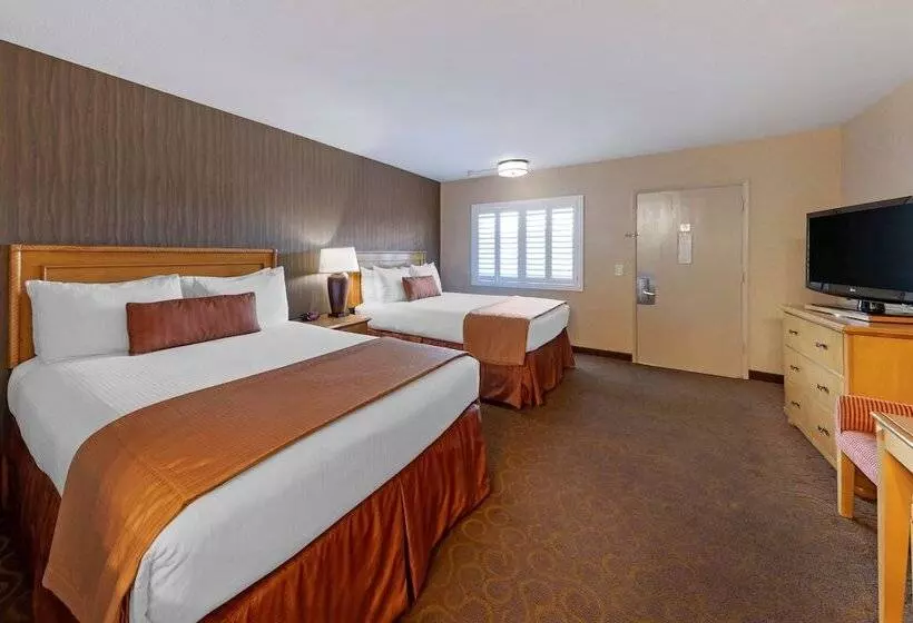 Standard Room 2 Double Beds