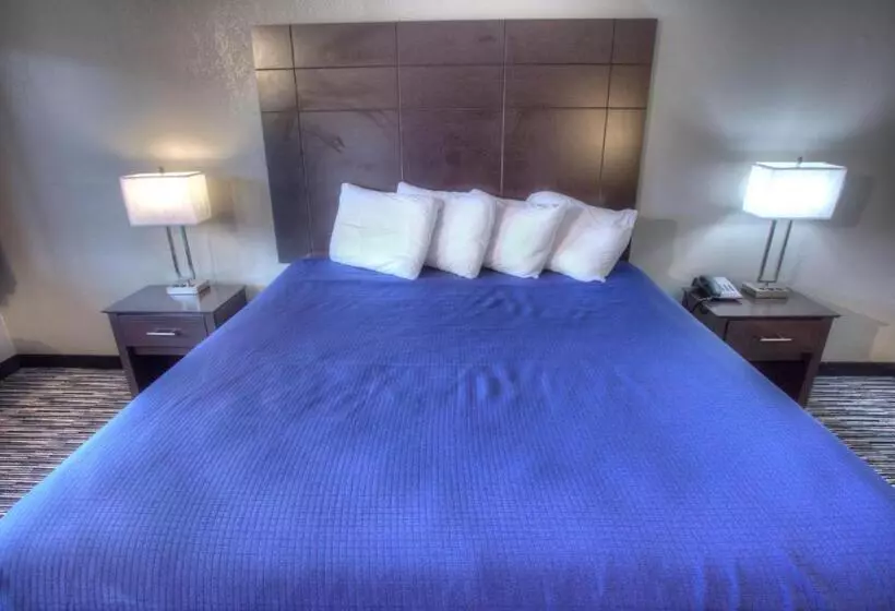 キングサイズベッドのスタンダードルーム, Budgetel Inn And Suites Plus Helen