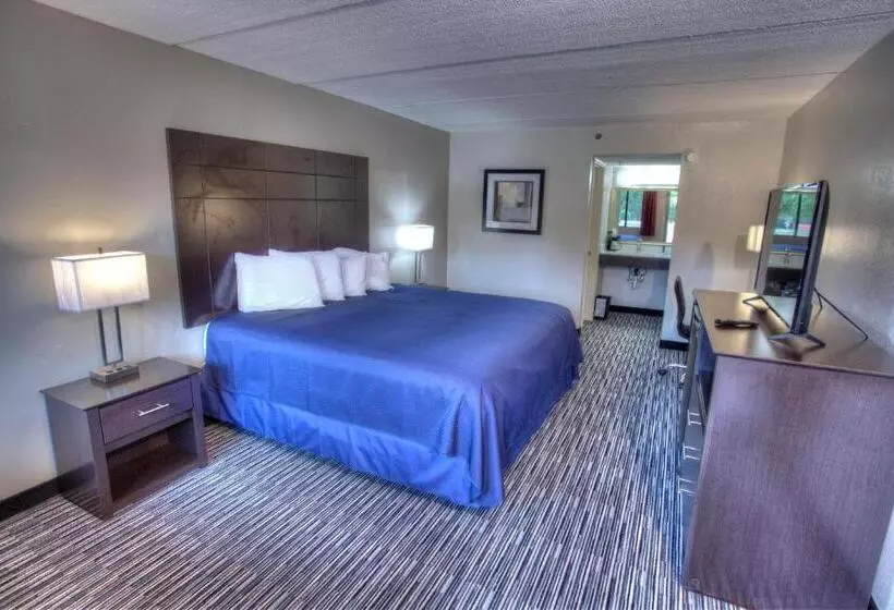 身障者適用シングルルーム, Budgetel Inn And Suites Plus Helen