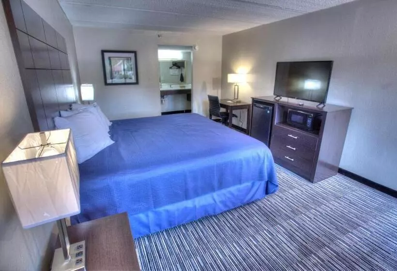身障者適用シングルルーム, Budgetel Inn And Suites Plus Helen