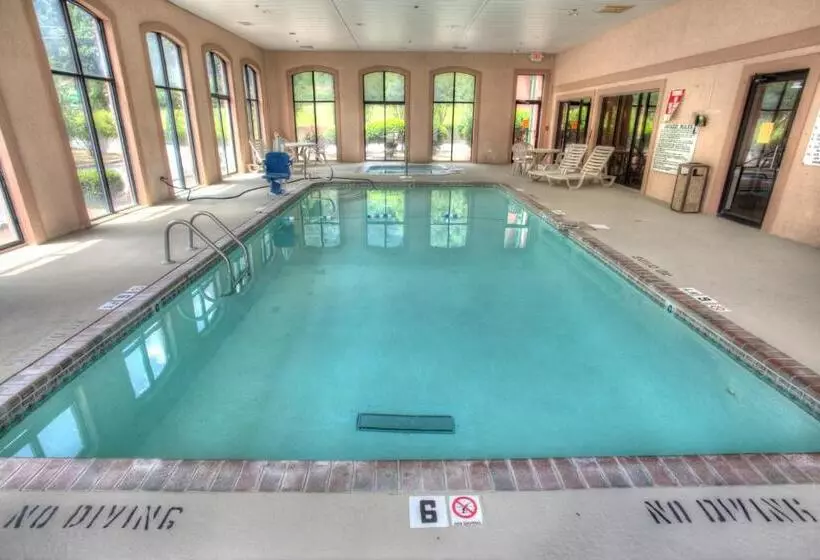 身障者適用シングルルーム, Budgetel Inn And Suites Plus Helen