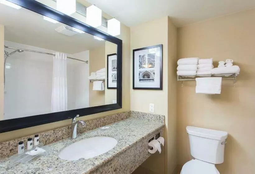 スタンダードルーム, Country Inn & Suites By Radisson, Buffalo South I90, Ny