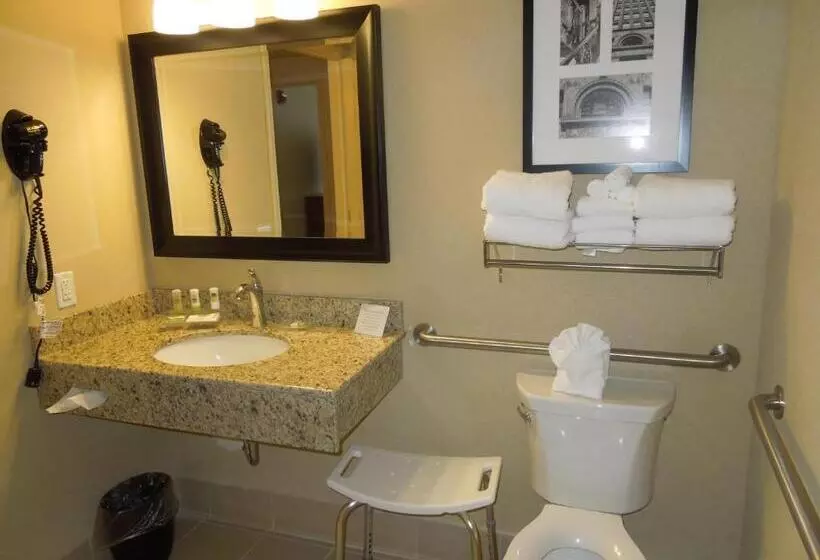 身障者適用スタンダードルーム, Country Inn & Suites By Radisson, Buffalo South I90, Ny