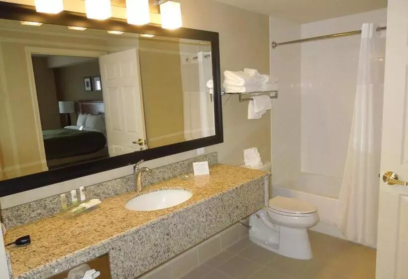 スイート, Country Inn & Suites By Radisson, Buffalo South I90, Ny