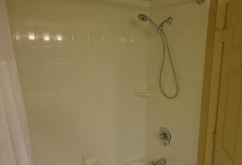 جناح لذوى الاحتياجات الخاصة, Country Inn & Suites By Radisson, Buffalo South I90, Ny