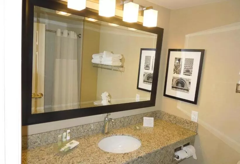 キングサイズベッドのスタンダードルーム, Country Inn & Suites By Radisson, Buffalo South I90, Ny