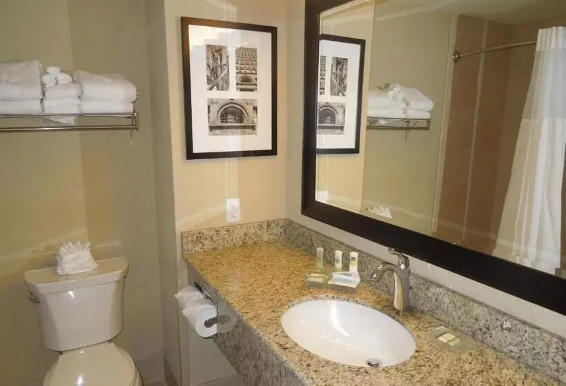 キングサイズベッドのスタンダードルーム, Country Inn & Suites By Radisson, Buffalo South I90, Ny