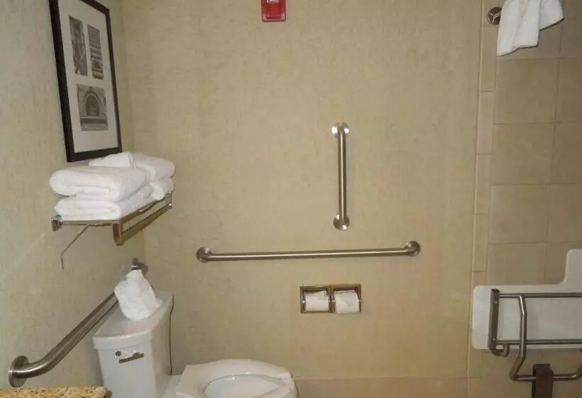 身障者適用キングサイズベッドルーム, Country Inn & Suites By Radisson, Buffalo South I90, Ny