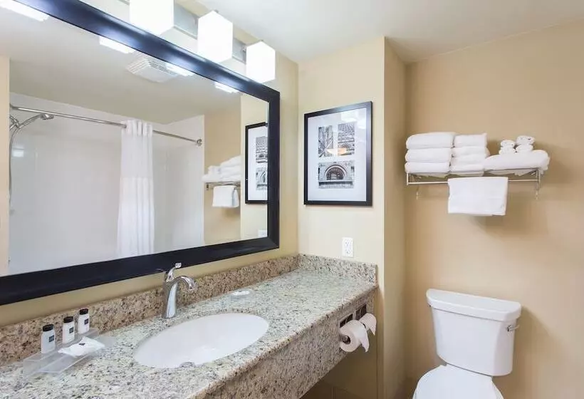 身障者適用スイートルーム, Country Inn & Suites By Radisson, Buffalo South I90, Ny