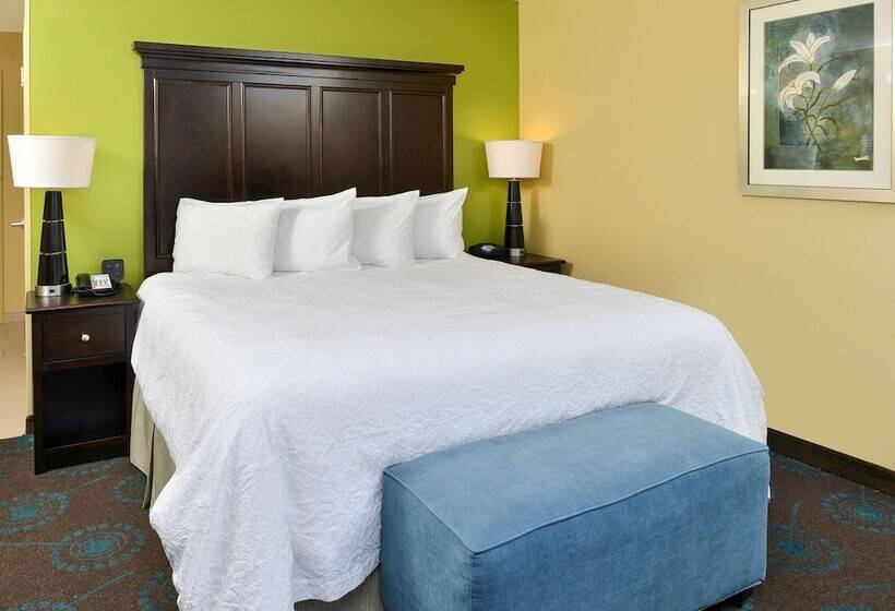 חדר סטנדרט עם מיטת קינג, Hampton Inn Iowa City/university Area