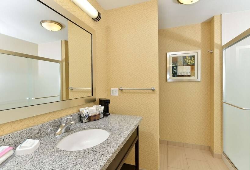 חדר סטנדרט עם מיטת קינג, Hampton Inn Iowa City/university Area