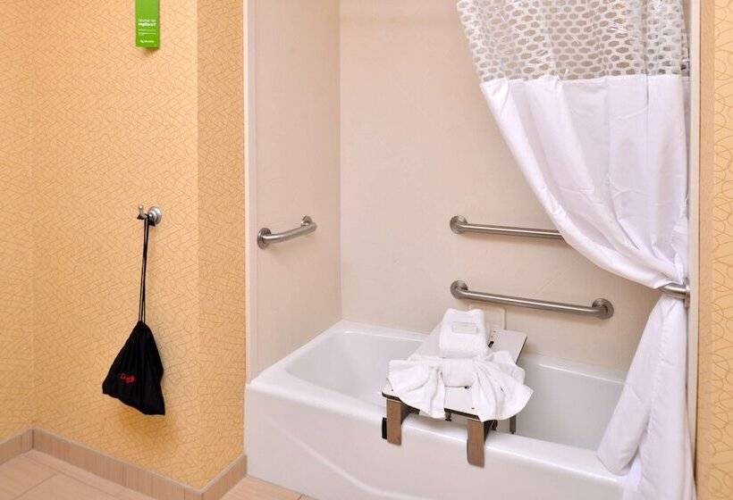 스탠다드 룸 킹사이즈 침대, Hampton Inn Iowa City/university Area