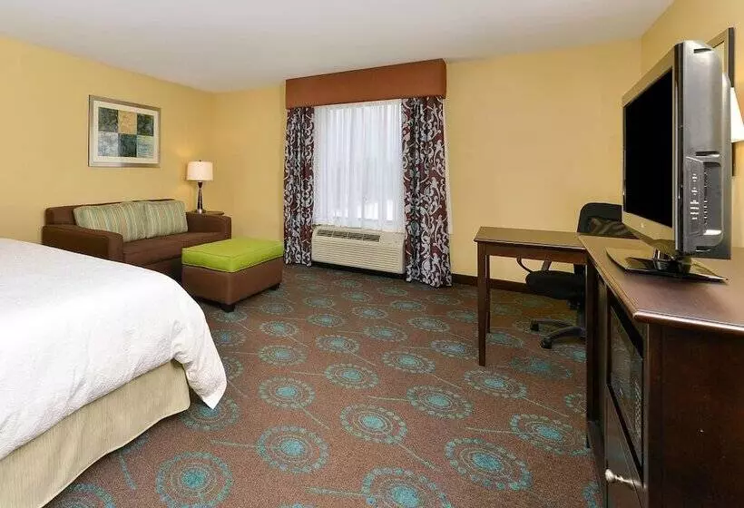 身障者適用キングサイズベッドルーム, Hampton Inn Iowa City/university Area