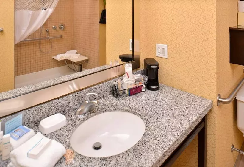 身障者適用キングサイズベッドルーム, Hampton Inn Iowa City/university Area