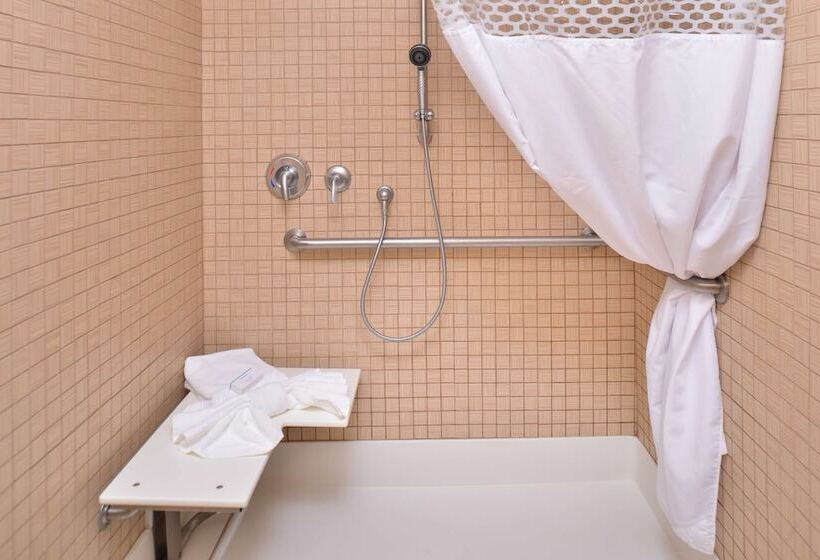 장애인을 위한 킹사이즈 침대 스탠다드 룸, Hampton Inn Iowa City/university Area