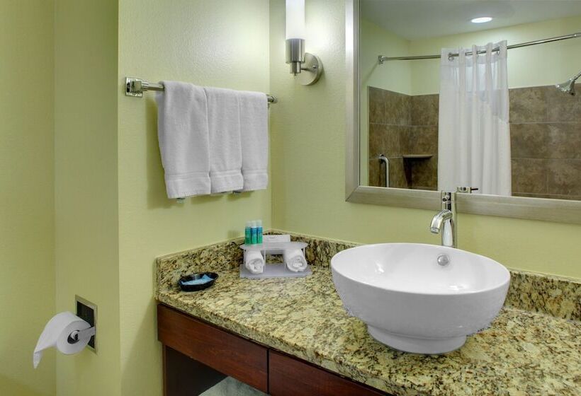 جناح لذوى الاحتياجات الخاصة, Holiday Inn Express & Suites Cross Lanes, An Ihg