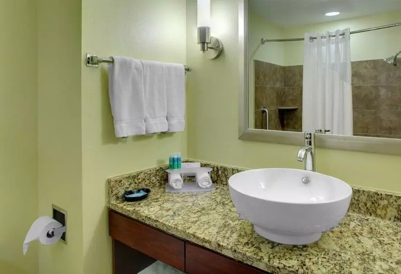 身障者適用スイートルーム, Holiday Inn Express & Suites Cross Lanes, An Ihg