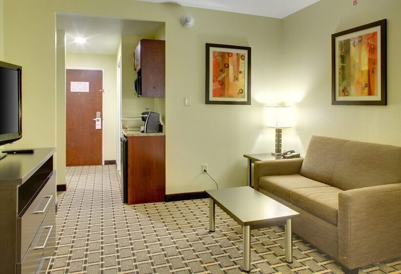 جناح لذوى الاحتياجات الخاصة, Holiday Inn Express & Suites Cross Lanes, An Ihg