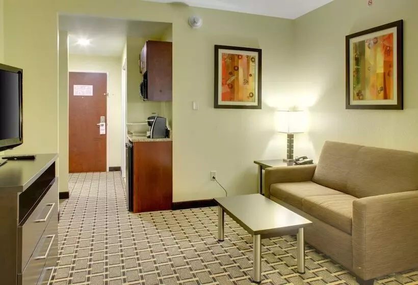 身障者適用スイートルーム, Holiday Inn Express & Suites Cross Lanes, An Ihg