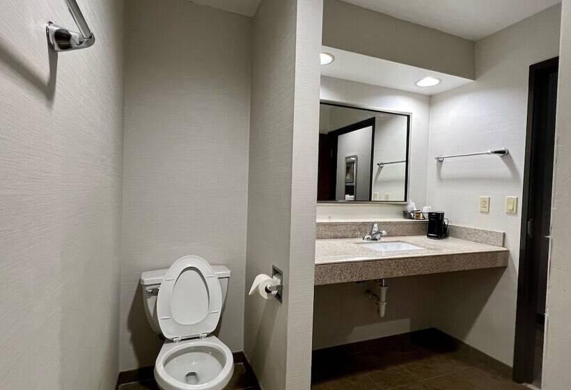 إستوديو قياسى سرير كينج, Hometowne Studios & Suites Washington