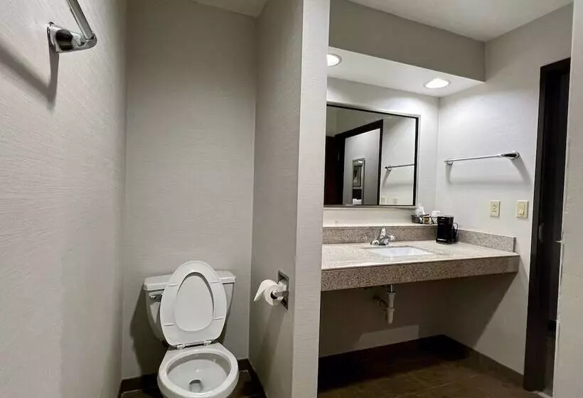キングサイドベッドのスタンダードワンルーム, Hometowne Studios & Suites Washington