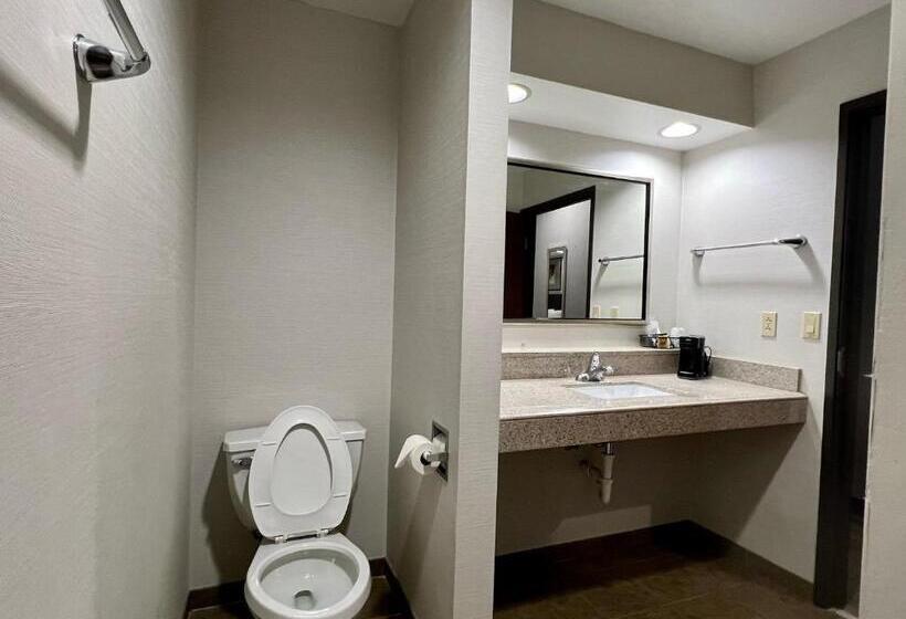 إستوديو قياسى سرير كينج, Hometowne Studios & Suites Washington