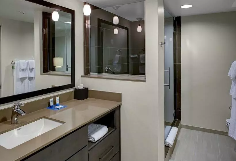 キングサイズベッドのスイートルーム, Hyatt House Atlanta Cobb Galleria