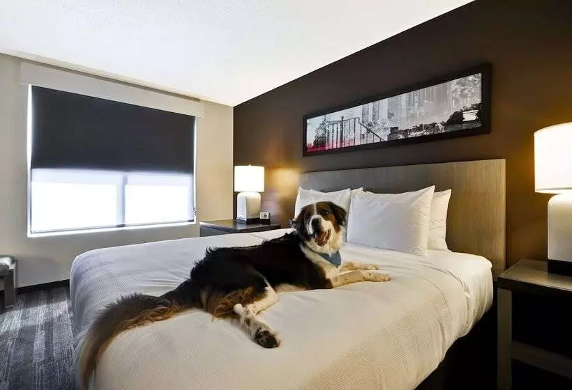 身障者適用スイートルーム, Hyatt House Atlanta Cobb Galleria