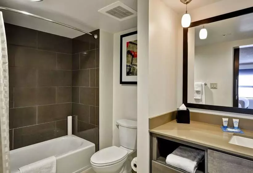 身障者適用スイートルーム, Hyatt House Atlanta Cobb Galleria