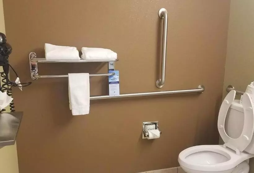 身障者適用スタンダードルーム, Microtel Inn & Suites By Wyndham