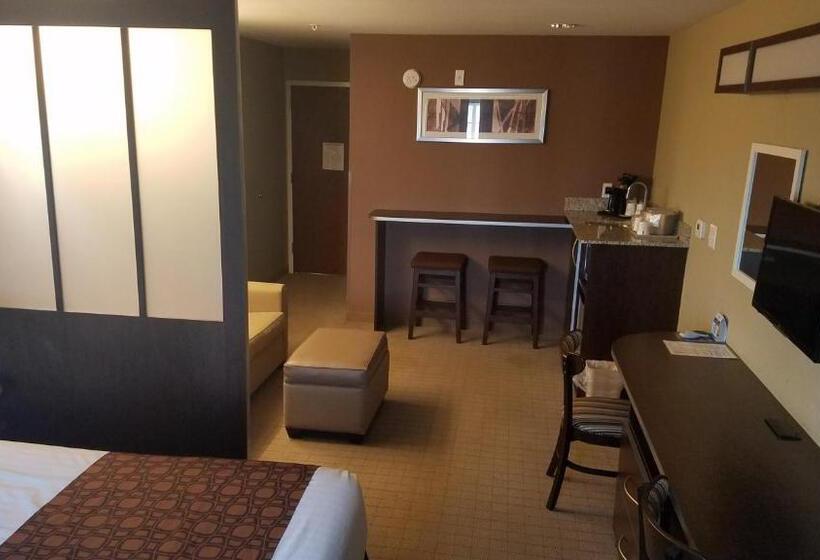 إستوديو قياسى, Microtel Inn & Suites By Wyndham