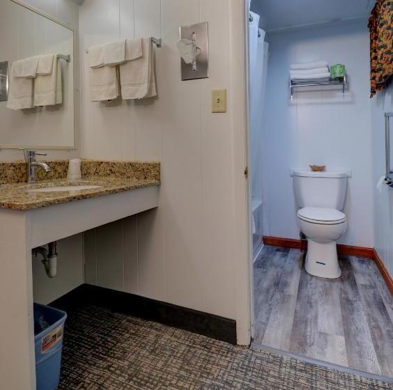 غرفة قياسية, Sanfordinn