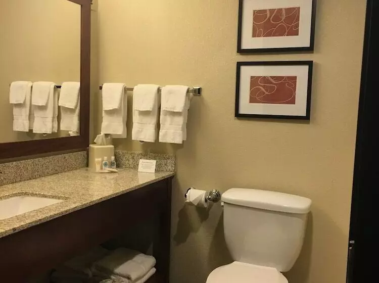 スイート, Comfort Suites Near Potomac Mills