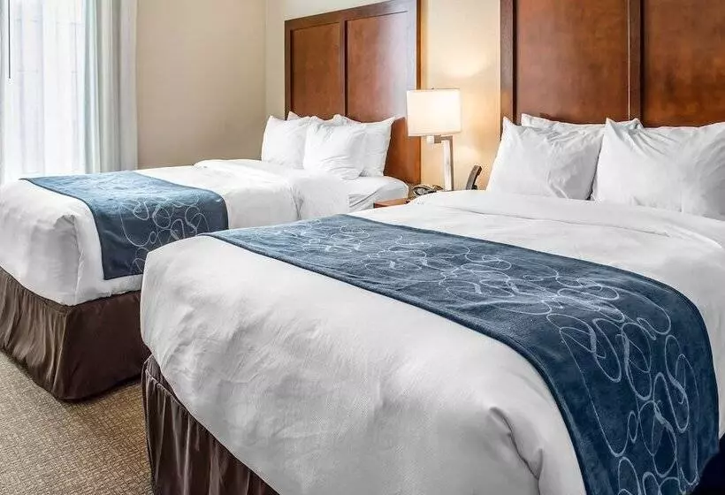 スイート, Comfort Suites Near Potomac Mills