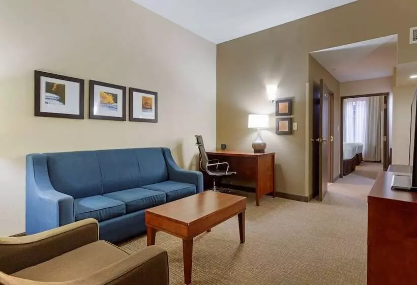 スイート, Comfort Suites Near Potomac Mills