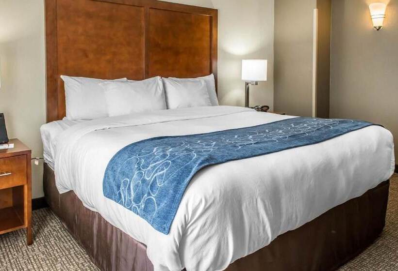 جناح, Comfort Suites Near Potomac Mills