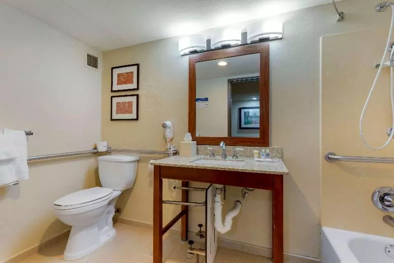 キングサイズベッドのスイートルーム, Comfort Suites Near Potomac Mills