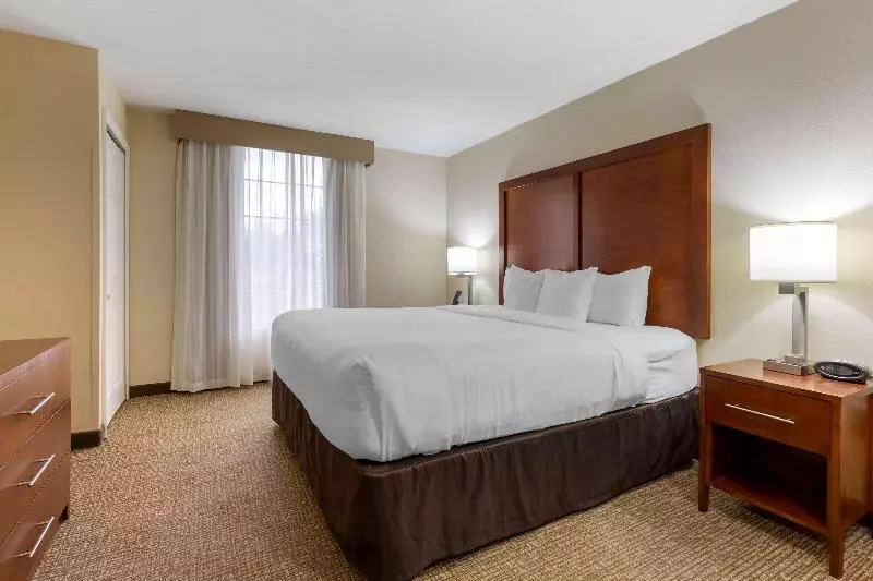 キングサイズベッドのスイートルーム, Comfort Suites Near Potomac Mills