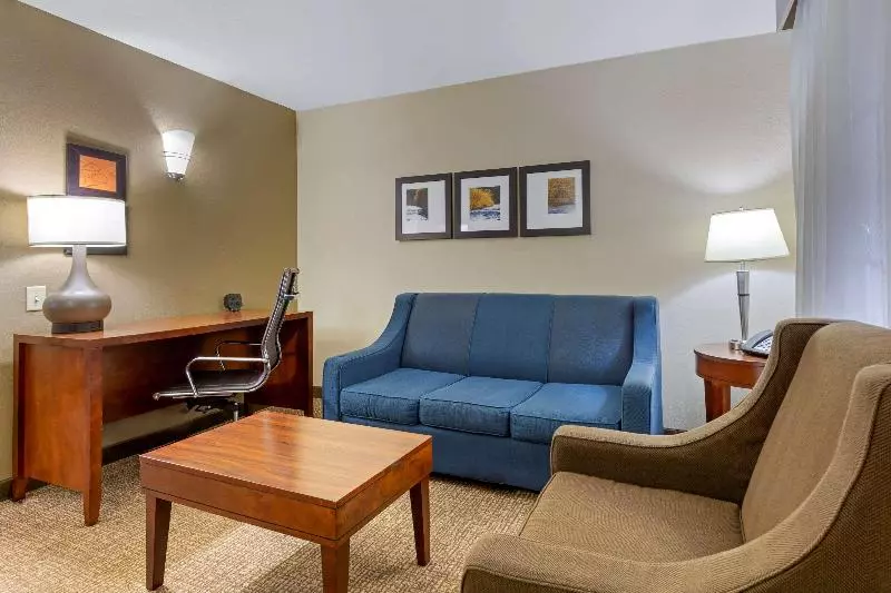 キングサイズベッドのスイートルーム, Comfort Suites Near Potomac Mills