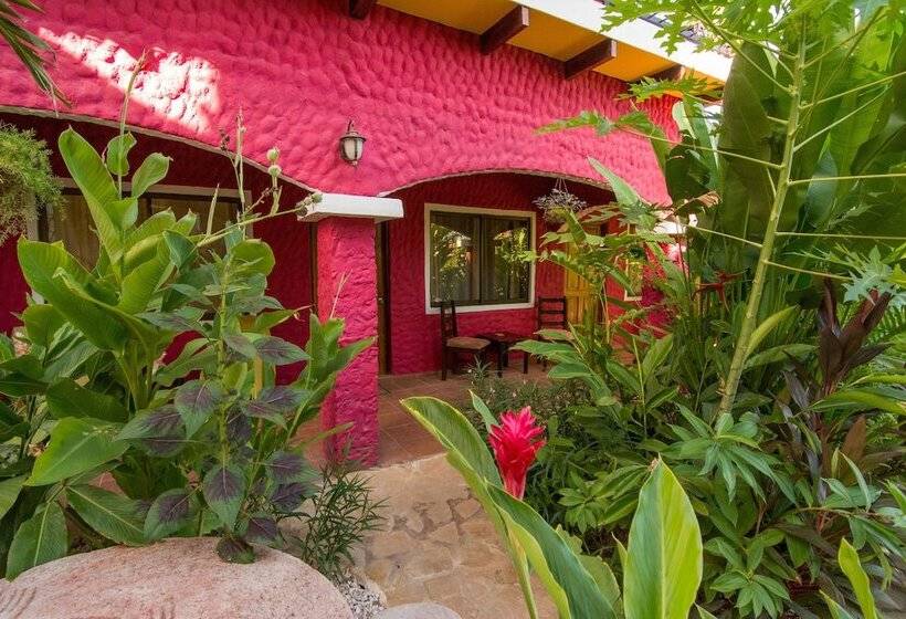 اتاق استاندارد, Conchal