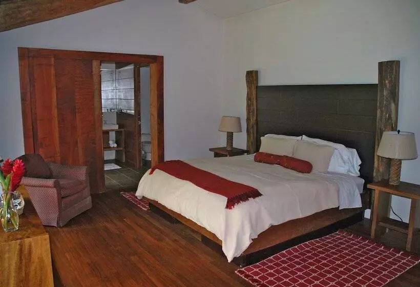 Standard-huone Puutarhanäkymä, Poas Volcano Lodge